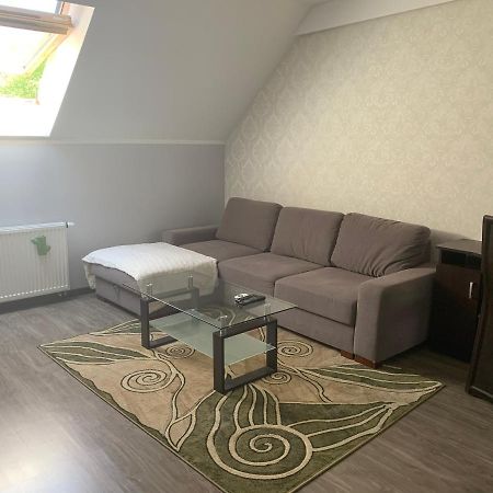 Silver Mazury Apartament Gizycko Exterior photo